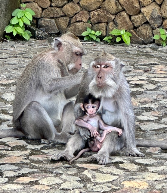 Sanur-til-candidasa-lene - 5