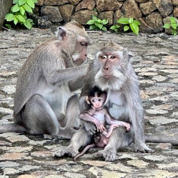 Sanur-til-candidasa-lene - 5.jpeg